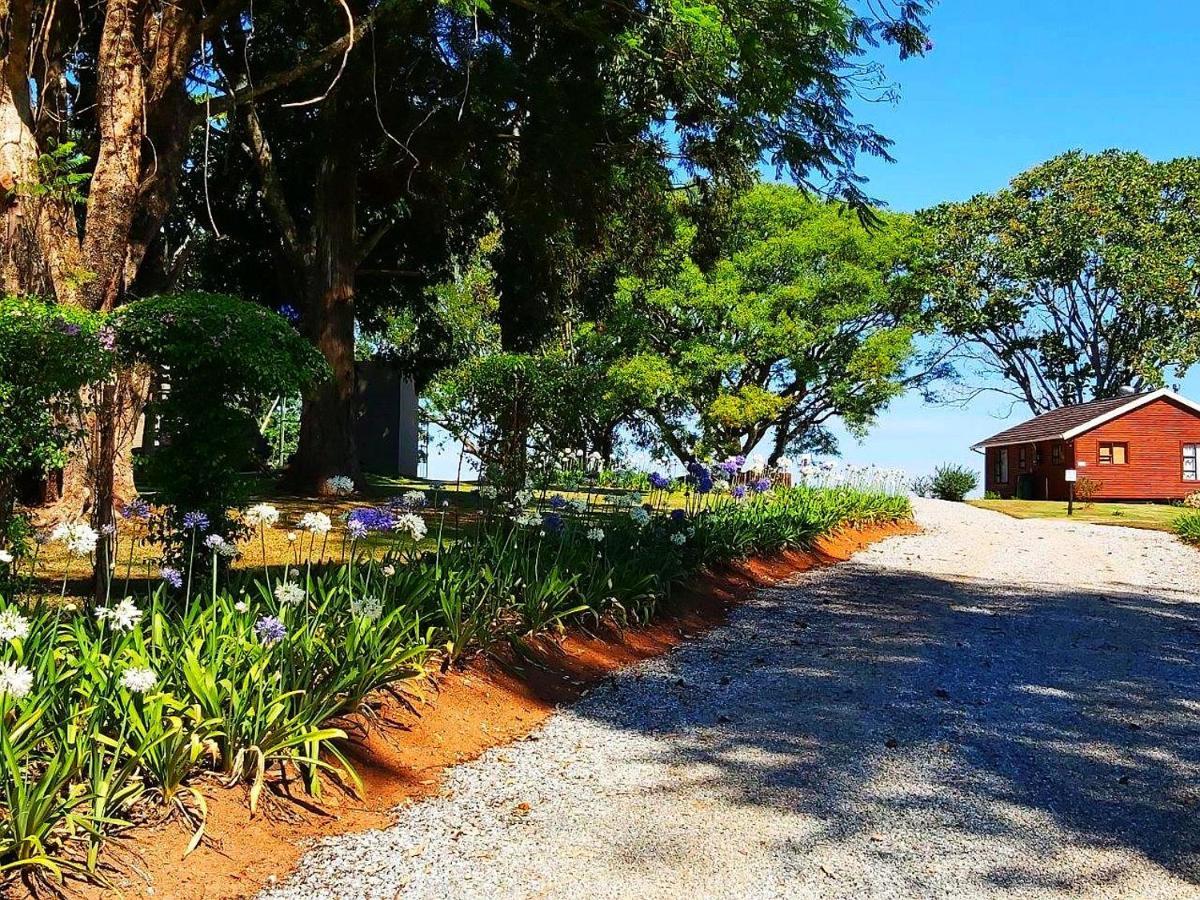 Forest View Cabins 桑尼 外观 照片