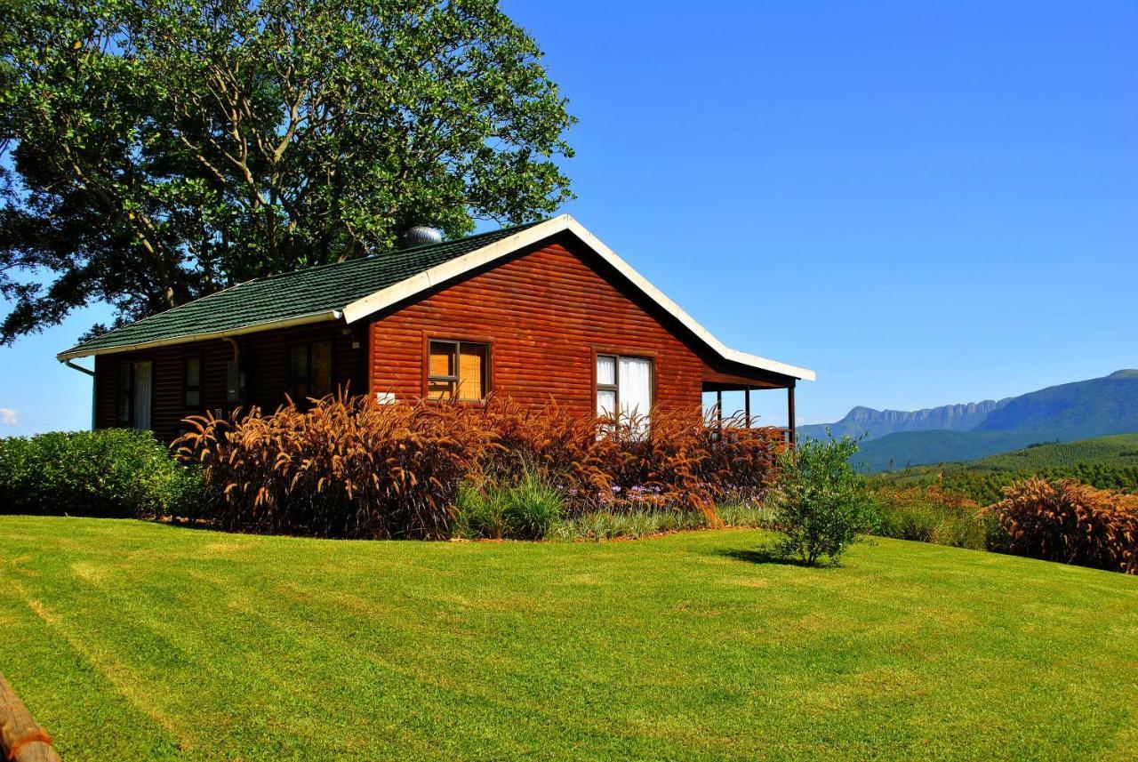 Forest View Cabins 桑尼 外观 照片