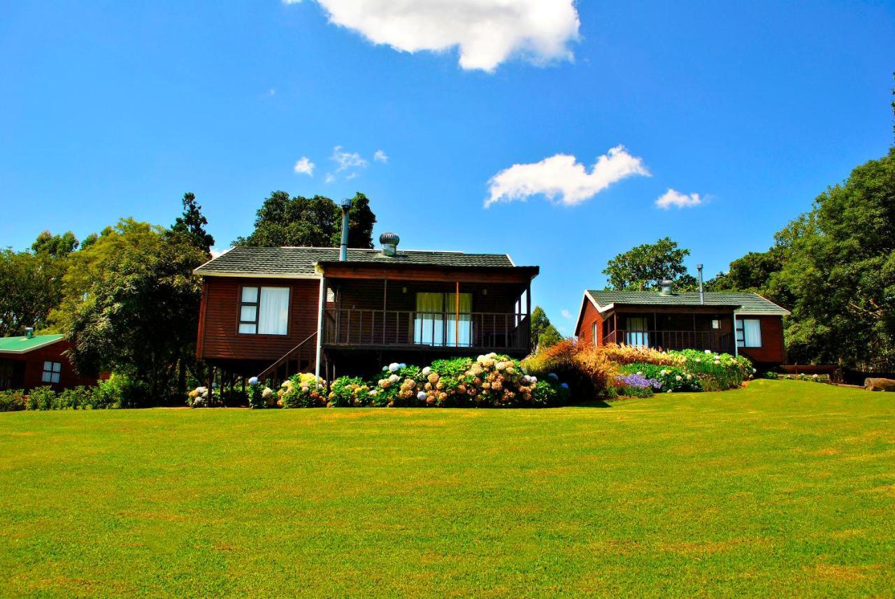Forest View Cabins 桑尼 外观 照片