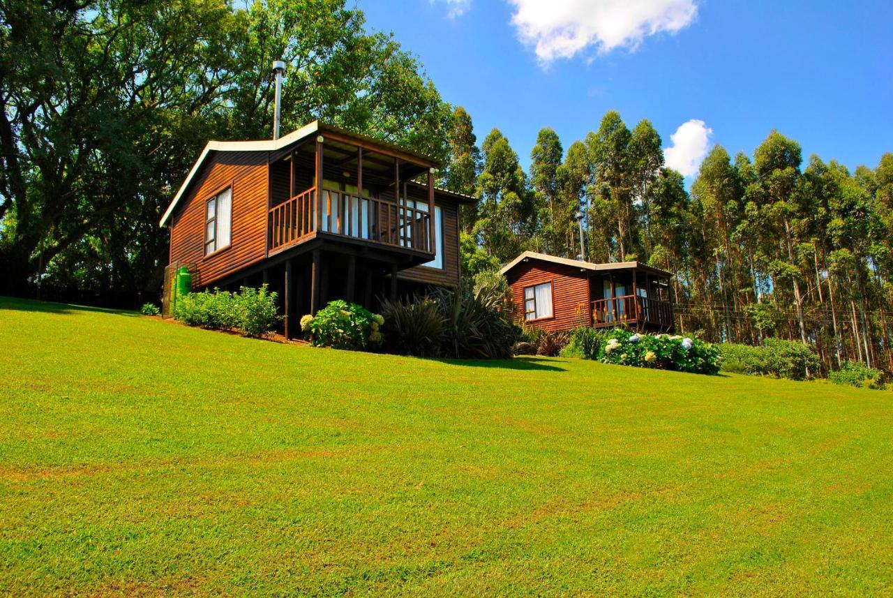 Forest View Cabins 桑尼 外观 照片