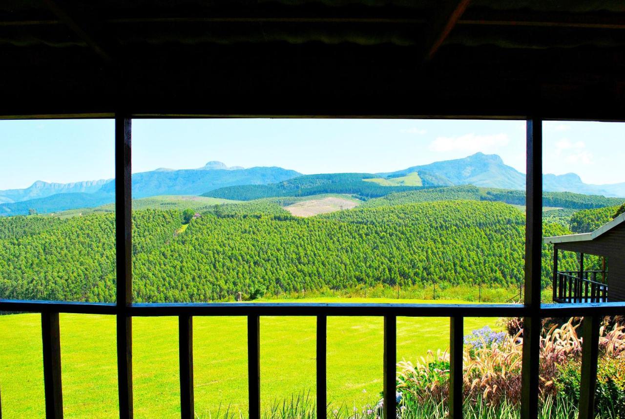 Forest View Cabins 桑尼 外观 照片