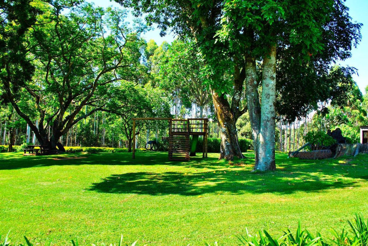 Forest View Cabins 桑尼 外观 照片