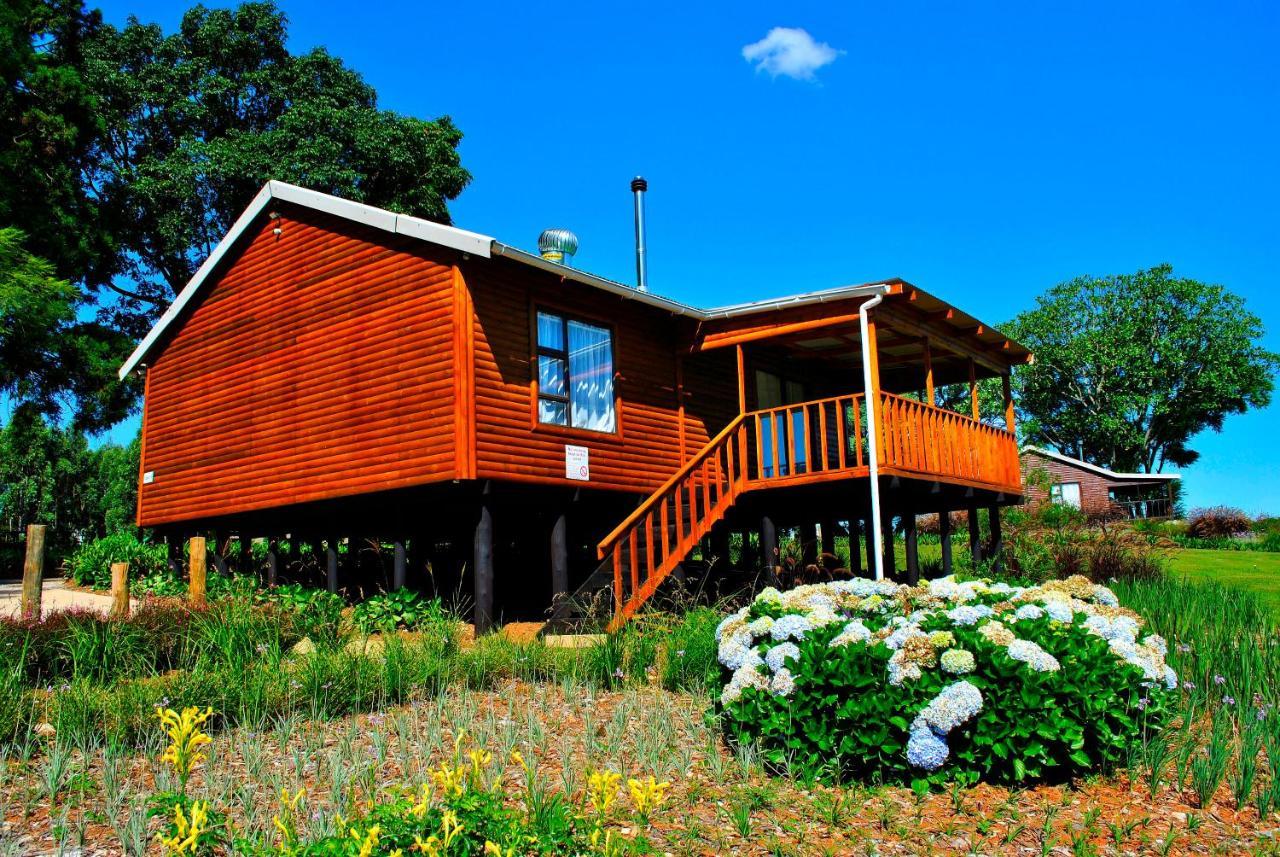 Forest View Cabins 桑尼 外观 照片