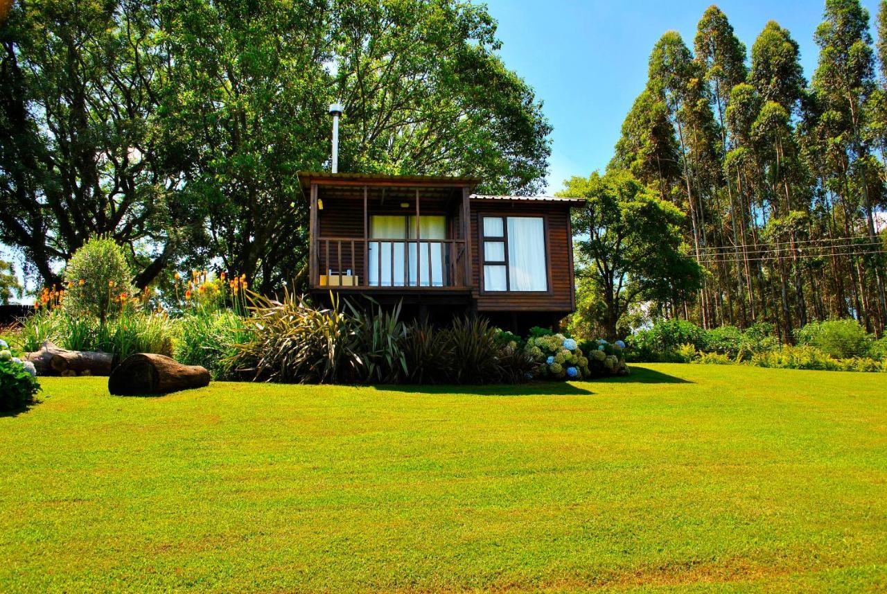 Forest View Cabins 桑尼 外观 照片