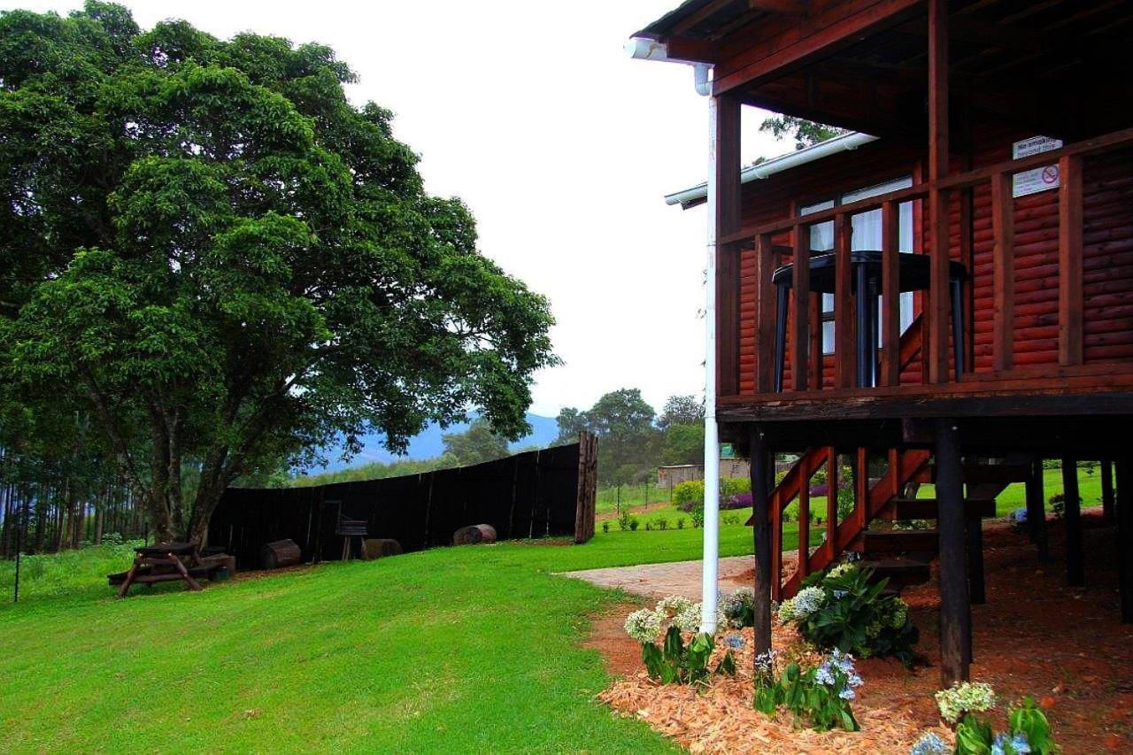 Forest View Cabins 桑尼 外观 照片