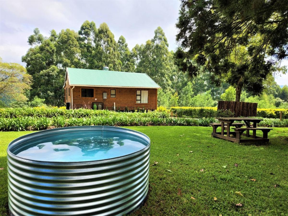 Forest View Cabins 桑尼 外观 照片