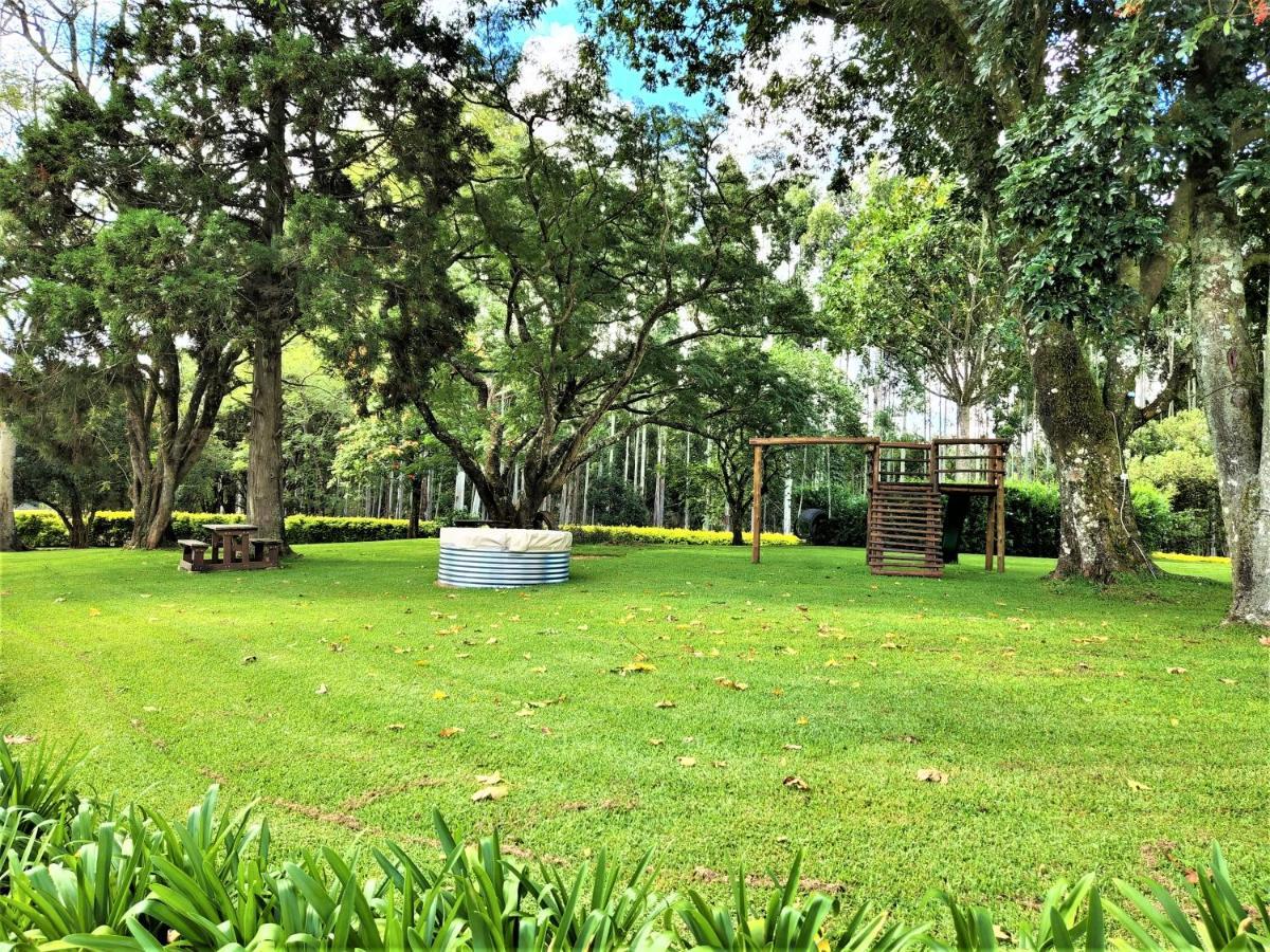 Forest View Cabins 桑尼 外观 照片